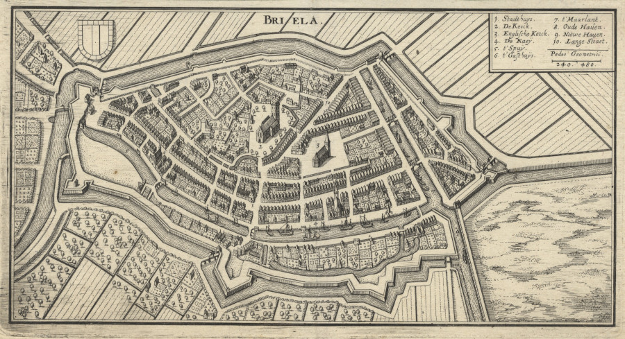 Briela by M. Merian