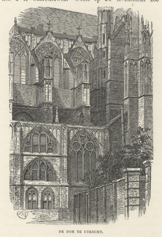 view De Dom te Utrecht by nn