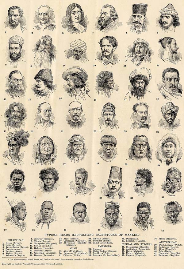 print Typical Heads Illustrating Race-stocks of Mankind by Funk&Wagnalls Company
