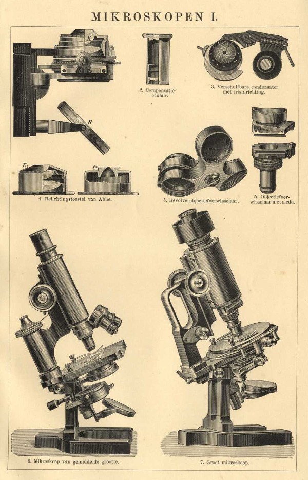 print Mikroskopen I by Winkler Prins