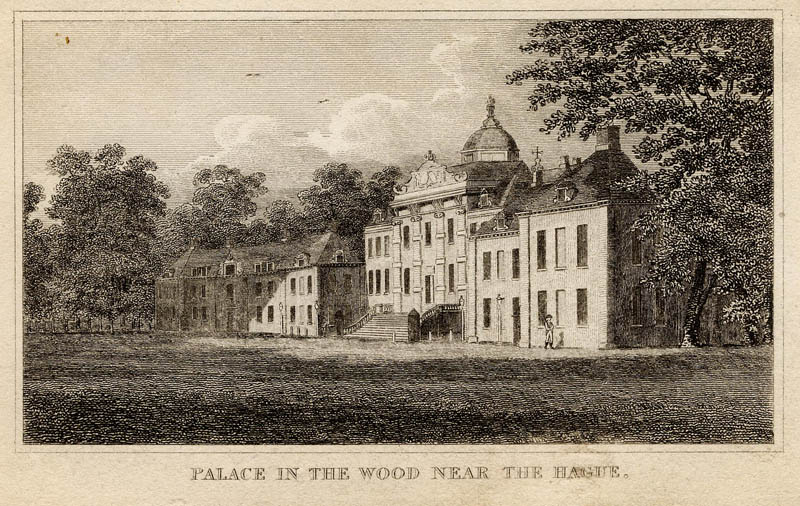 Palace in the wood near The Hague by nn