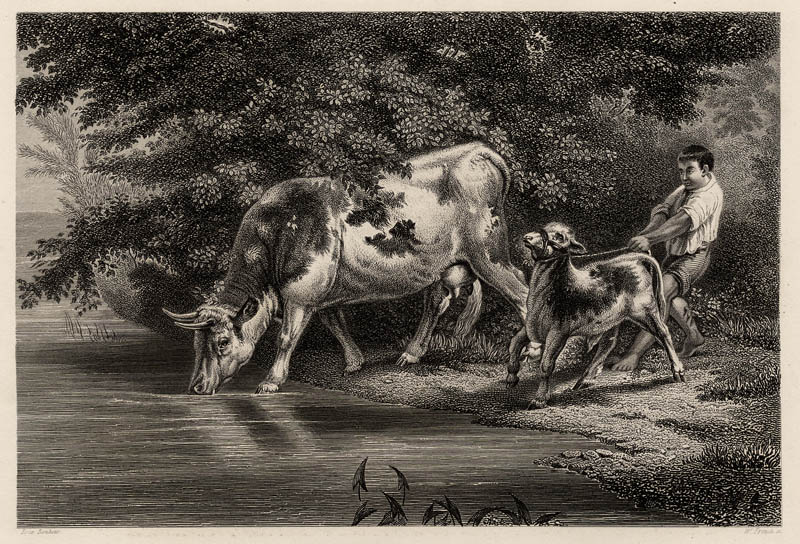 Die Tränke (drinkende koeien) by W. French naar Rosa Bonheur