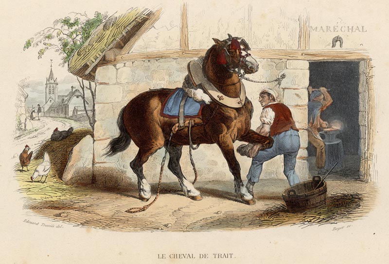 Le cheval de trait (het trekpaard) by Edouard Travies