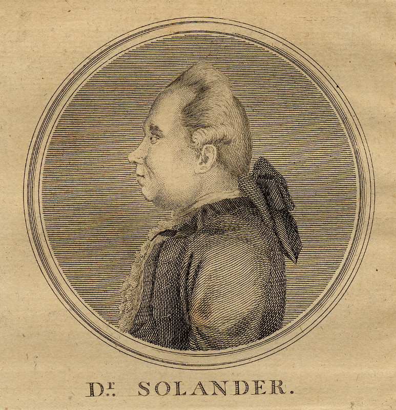 Dr Solander by nn