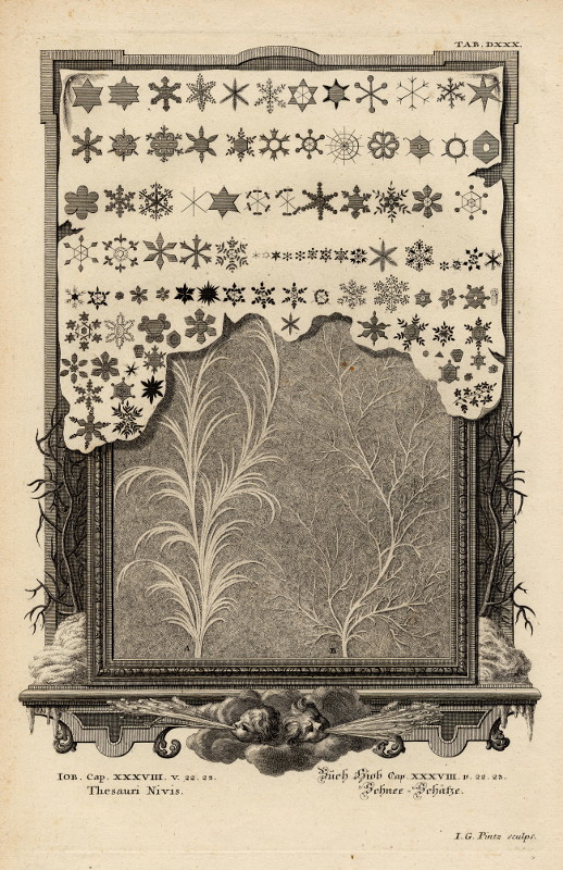 print Schnee = Schätze by Johann Georg Pintz