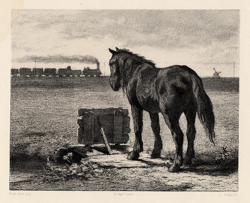 Paard in weiland by J.J. Mesker naar H. van Ingen