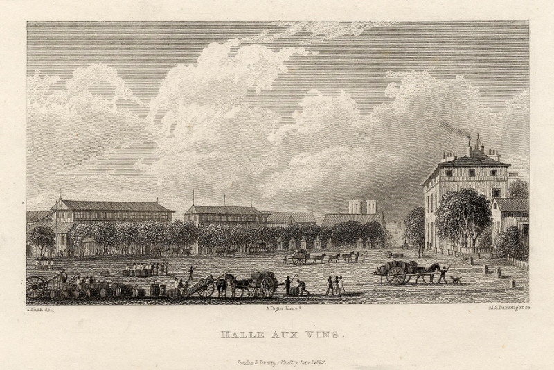 Halle aux  vins by M.S. Barrenger, T. Nash