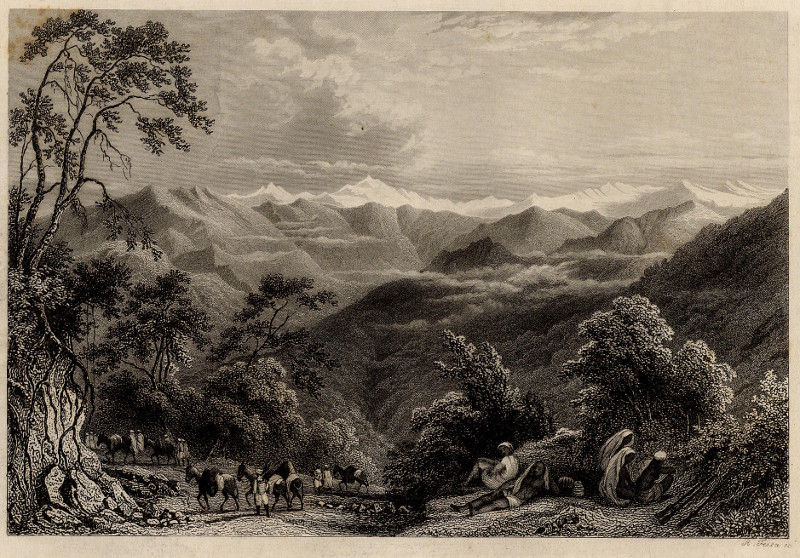 Der Himalaya by A. Fezca