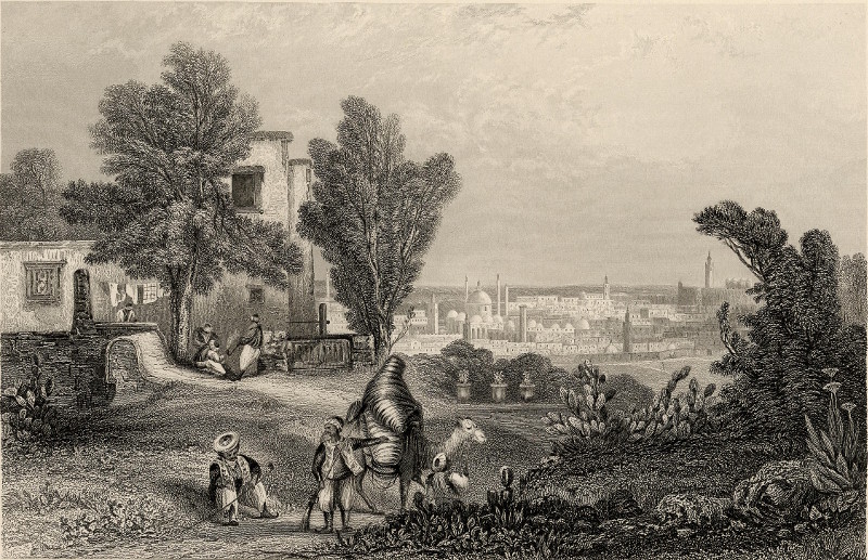 Tunis, from the Saneeah Eftoor by C. Bentley, J. Sands