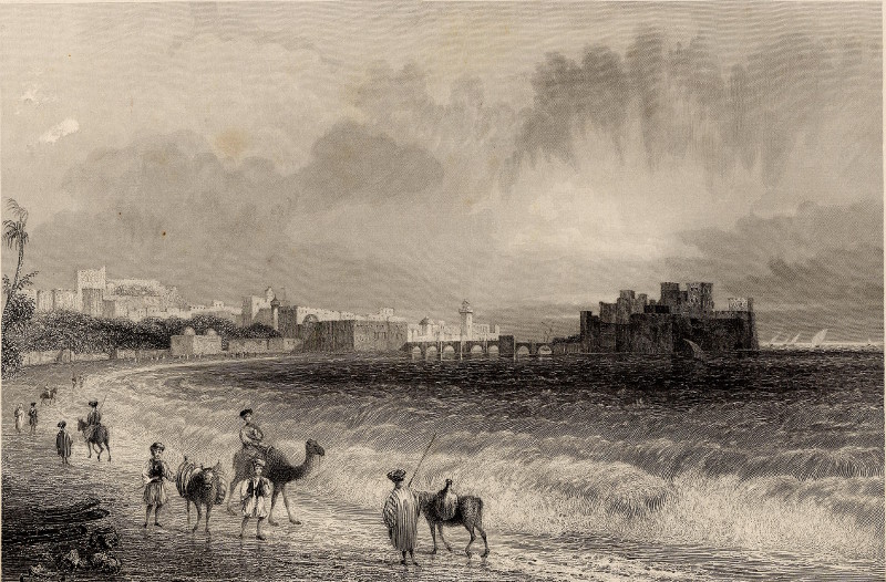 Sidon, on the approach from Beirout by W.H. Bartlett, J.P. Heath
