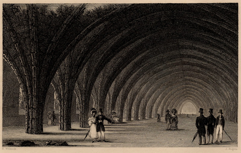 The Cloisters, Fountains Abbey by N. Whittock, J. Rogers