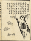 thmbnail of Boek der Liederen / Mao shi pin wu tu kao, tor